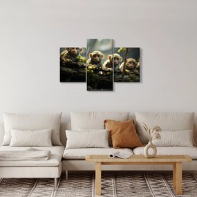 Kép - Majmok (90x60 cm)