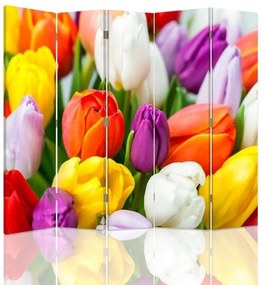 Gario Paraván Színes tulipánok Méret: 180 x 170 cm, Kivitelezés: Klasszikus paraván