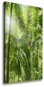 Vászon nyomtatás Az esőerdő ocv-72098525