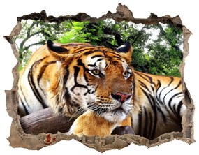 3d-s lyukat fali matrica Tiger a rock nd-k-61968911