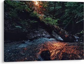 Hegyi folyó képe (70x50 cm)