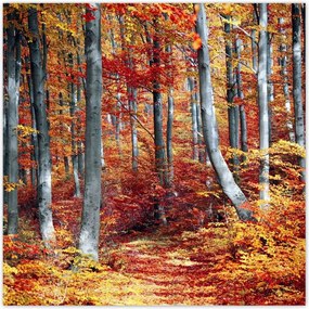 Poszterek 100x100 Tájkép