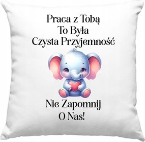 Búcsúpárna Egy Kolléganőnek, Ajándéknak Is Tökéletes