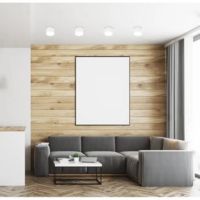 Spotlámpa TUBA 1xGU10/15W/230V fehér