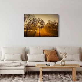 Kép - Napkelte (90x60 cm)
