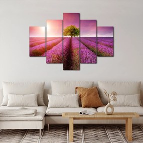 Levendula mező képe (150x105 cm)