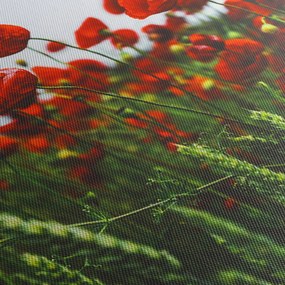 A pipacsok képe a szélben (150x105 cm)