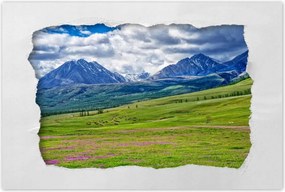 Poszterek 60x40 Juh legeltetés Bárányok