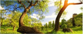 Kép egy tavaszi rétről (120x50 cm)