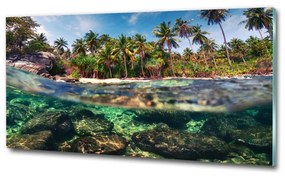 Üvegfotó Trópusi tengerpart osh-90407162