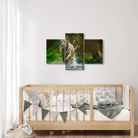 Futó tigris képe (90x60 cm)