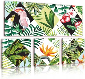 Vászonkép 80x55 Trópusok egzotikus dzsungel papagáj kakadu pálma levelek természet