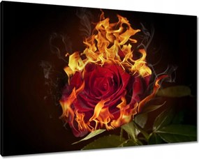 Vászonkép 100x70 Vörös lángoló rózsa