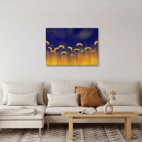 Kép - Pitypang (70x50 cm)
