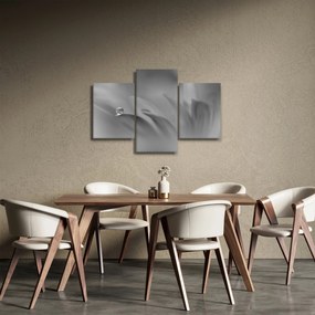 Kép - Csepp a virágon, fekete-fehér (90x60 cm)