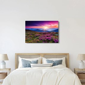 Kép - Hegyi virágzó táj (90x60 cm)