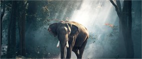 Elefánt a dzsungelben képe (120x50 cm)