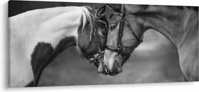 Kép - Szerelmes lovak, fekete-fehér (120x50 cm)