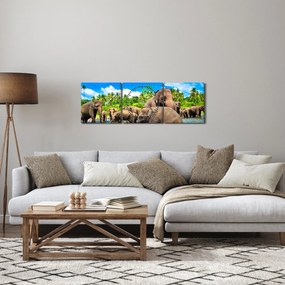 Kép - Elefántok, Sri Lanka (órával) (90x30 cm)