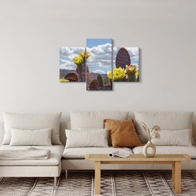 Fügekaktusz képe (90x60 cm)