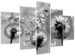 Fekete fehér kép -pitypang (150x105 cm)