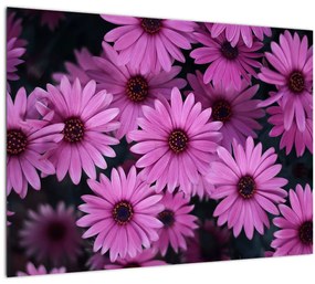 Rózsaszín virágok képe (üvegen) (70x50 cm)