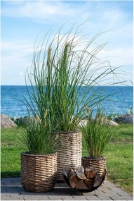 Vízijácint virágcserép készlet 3 db-os ø 49 cm Hanoi – House Nordic