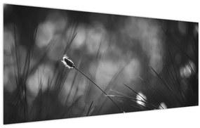 Kép - Mezei fű (120x50 cm)
