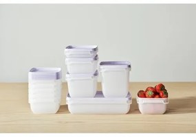 SmartStore Műanyag dobozok szett Freezer 3 db,levan dule, 1000 ml, 1000 ml
