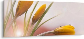 Kép - Tavaszi virágok (120x50 cm)