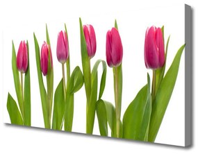 Vászonkép nyomtatás Tulipán virágok Plant 125x50 cm