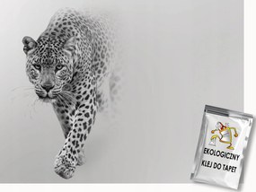 Fotótapéta Flizelina Állatok Fauna Leopárd Macska Szürke Köd 200x140 ragasztó