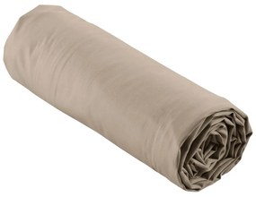 Világosbarna gumis pamut-perkál lepedő 180x200 cm Percaline – douceur d'intérieur