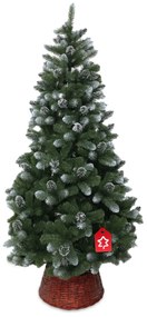 Extralux fenyő 2D 150 cm