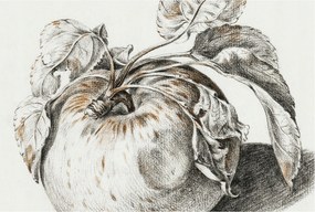 Dekoratív Fotótapéta Hálószoba Alma levelek 104x70 Ragasztó