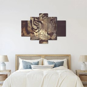 Tigris képe (150x105 cm)