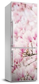 Hűtőre ragasztható matrica Magnólia virágok FridgeStick-70x190-f-81680689