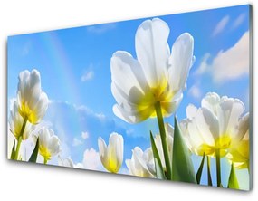 Üvegkép Növények Flowers Tulipán 100x50 cm