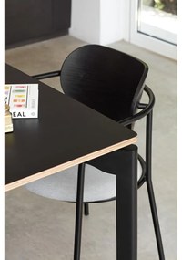 Fekete-szürke étkezőszék kőrisfa dekorral Eclipse - Teulat