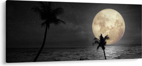 Kép - A strand a telihold alatt szürke tónusokkal (120x50 cm)