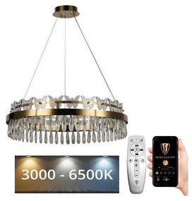 NEDES LED Dimmelhető csillár zsinóron LED/80W/230V 3000-6500K arany + távirányítás ND3541