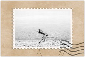 Poszterek 60x40 Gyökér tengerpart Gyökér víz