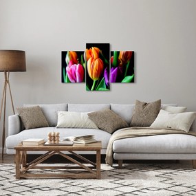 Tulipánok képe fekete alapon (90x60 cm)