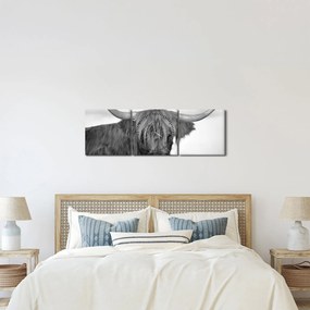 Kép - Skót tehén 2, fekete-fehér (órával) (90x30 cm)