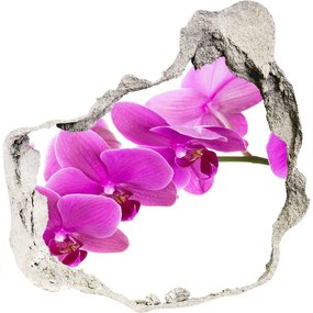 3d-s lyuk vizuális effektusok matrica Rózsaszín orchidea nd-p-67691978