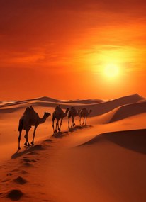Poszter 13x18cm Karaván a sivatagban