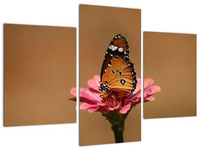 Pillangó képe a virágon (90x60 cm)