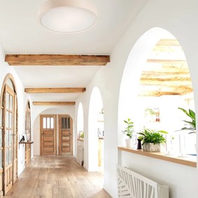 Mennyezeti lámpa 2xE27/60W/230V