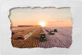 Poszterek 60x40 Aratás Mezőgazdaság Kombájn
