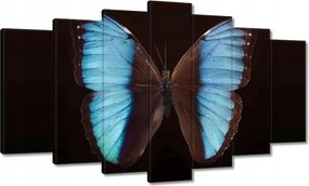 Vászonkép 140x80 Kék pillangó